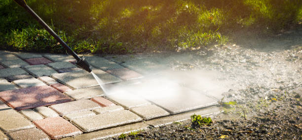 Animal Enclosure Cleaning in Silverton, OR